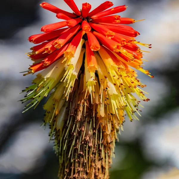 赌博软件棋牌游戏